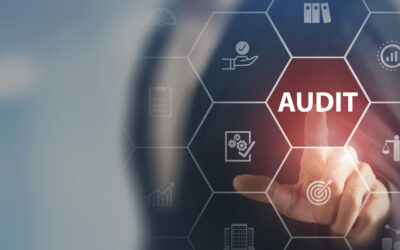 Combine the TEM and audit function as profit centers for a business